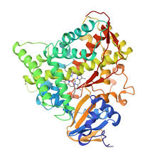 Drug Discovery